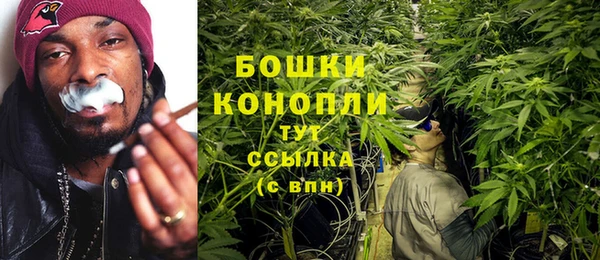 дживик Белокуриха
