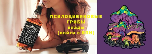 apvp Богданович