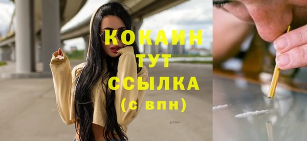 дживик Белокуриха