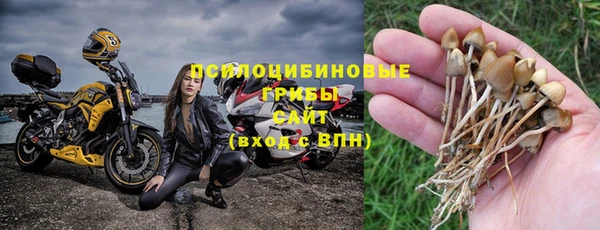 дживик Белокуриха
